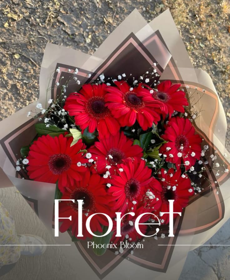 Phoenix Bloom — Crimson gerberas, rising bright from the ash