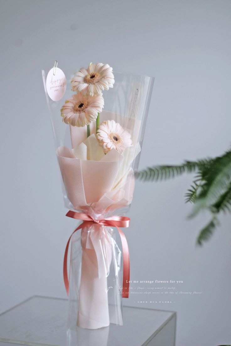Pink Elegance — Three blush daisies, smiling shyly through cellophane