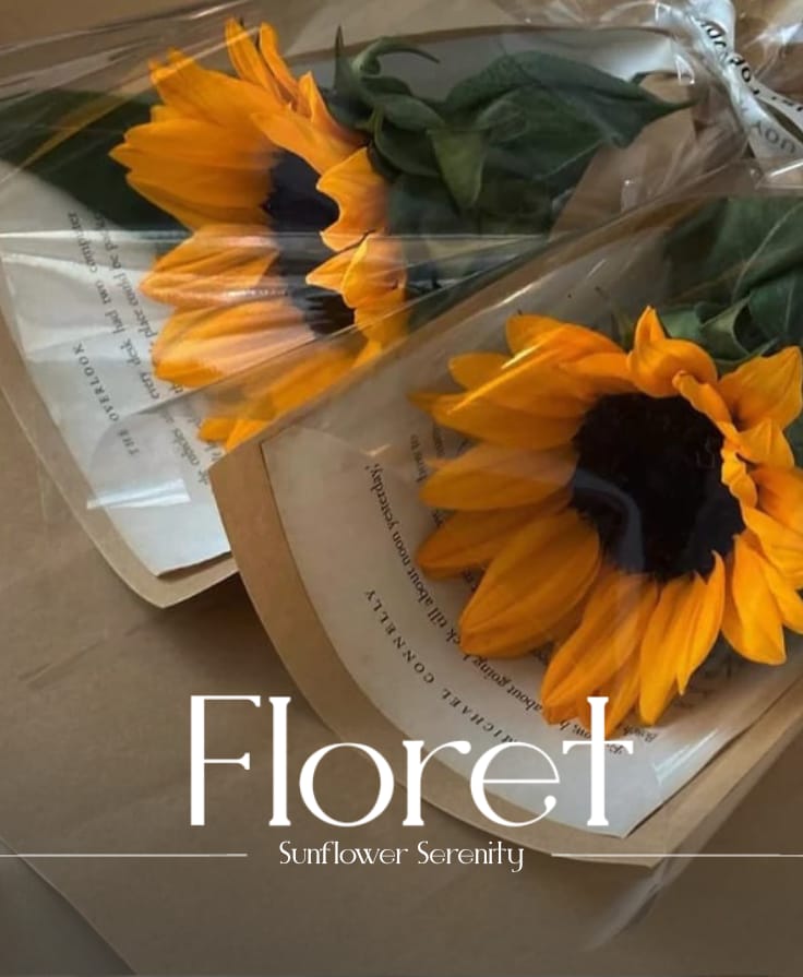 Sunflower Serenity — A single sunflower, simply wrapped